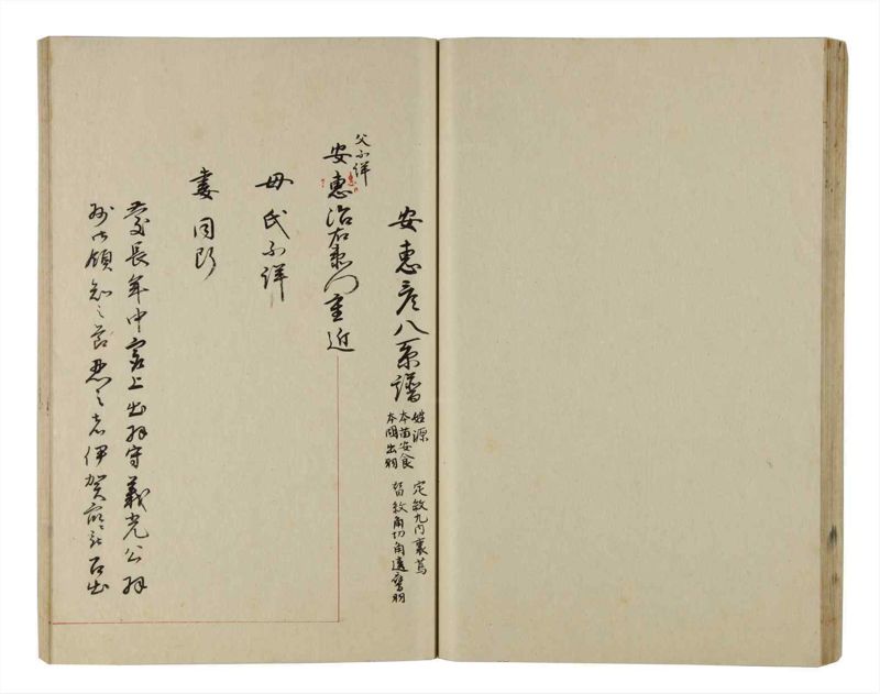 諸士系譜　巻之208　や之部5 - ページ 45