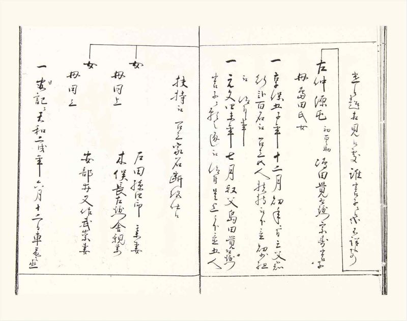 諸士系譜　巻之357　す之部7 - ページ 13