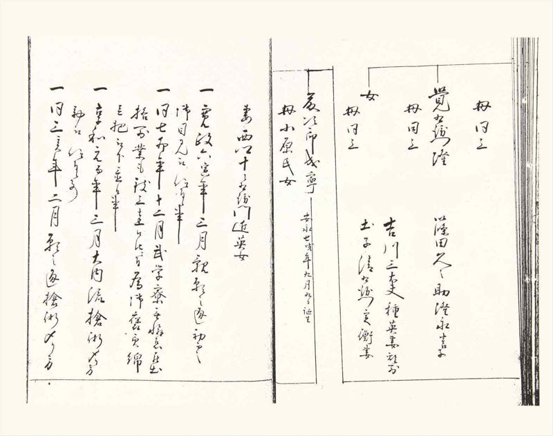 諸士系譜　巻之357　す之部7 - ページ 25