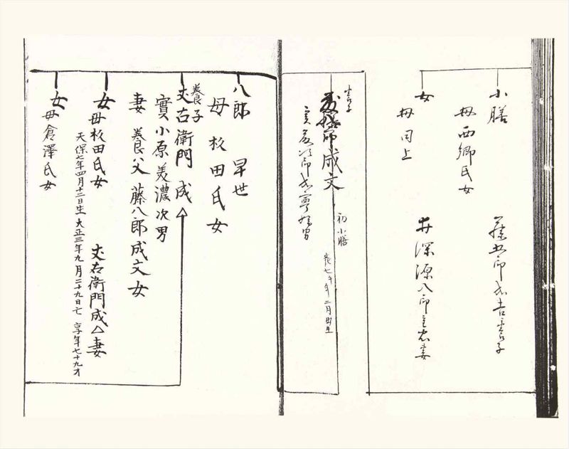 諸士系譜　巻之357　す之部7 - ページ 29