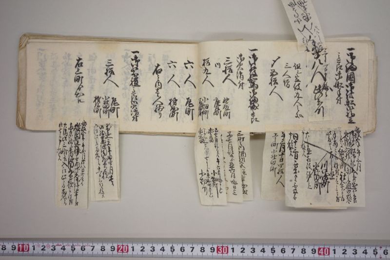 文政七年申正月改　火事役手扣 - ページ 50