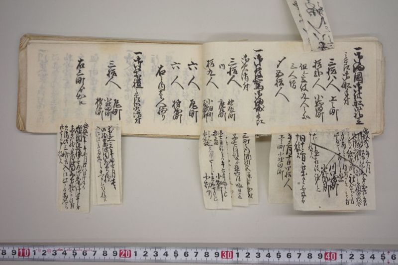 文政七年申正月改　火事役手扣 - ページ 51
