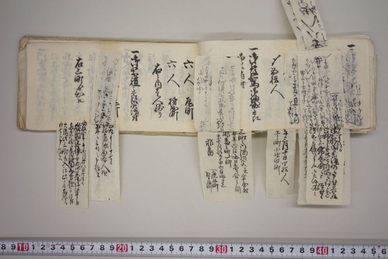 文政七年申正月改　火事役手扣 - ページ 53