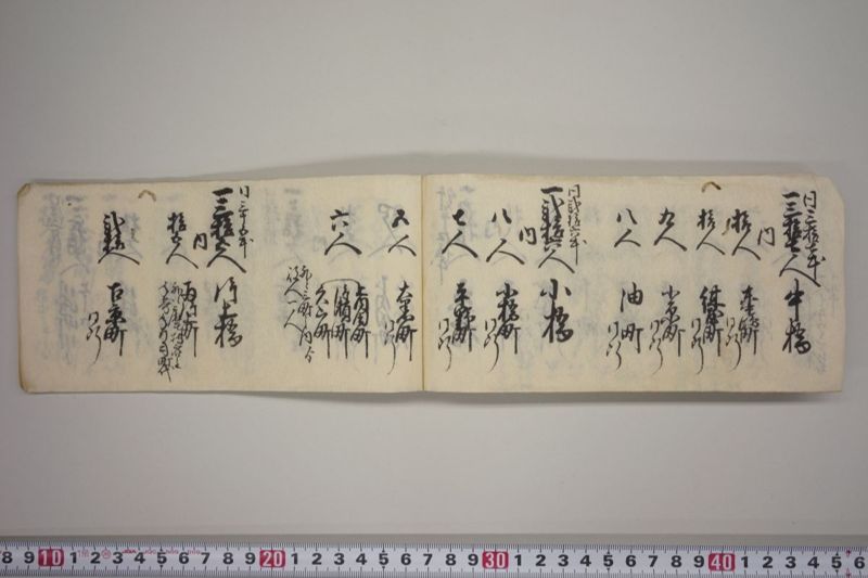 嘉永七年寅八月改　水役手扣 - ページ 7