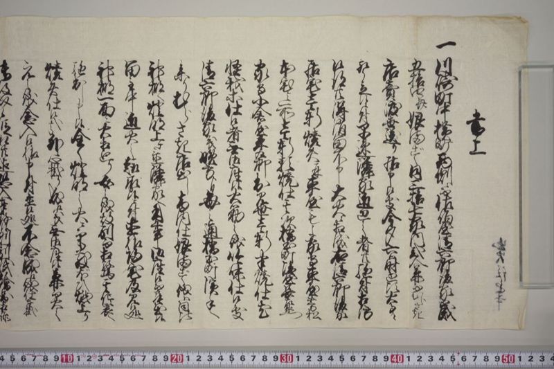 [火事注進書其他] - ページ 11
