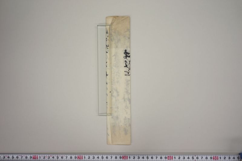 [火事注進書其他] - ページ 15
