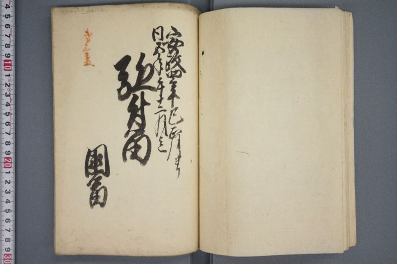 駈付留 - ページ 41