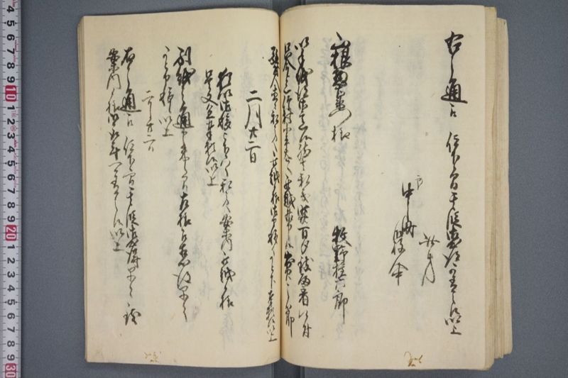 駈付留 - ページ 59