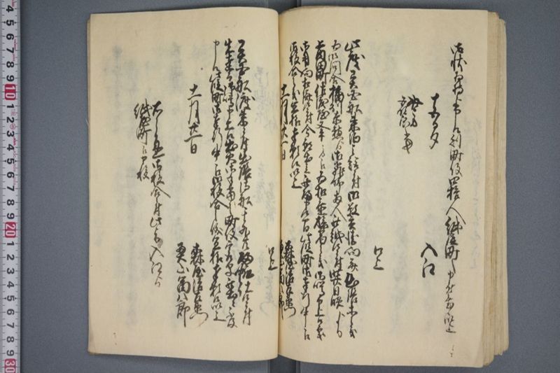 駈付留 - ページ 66