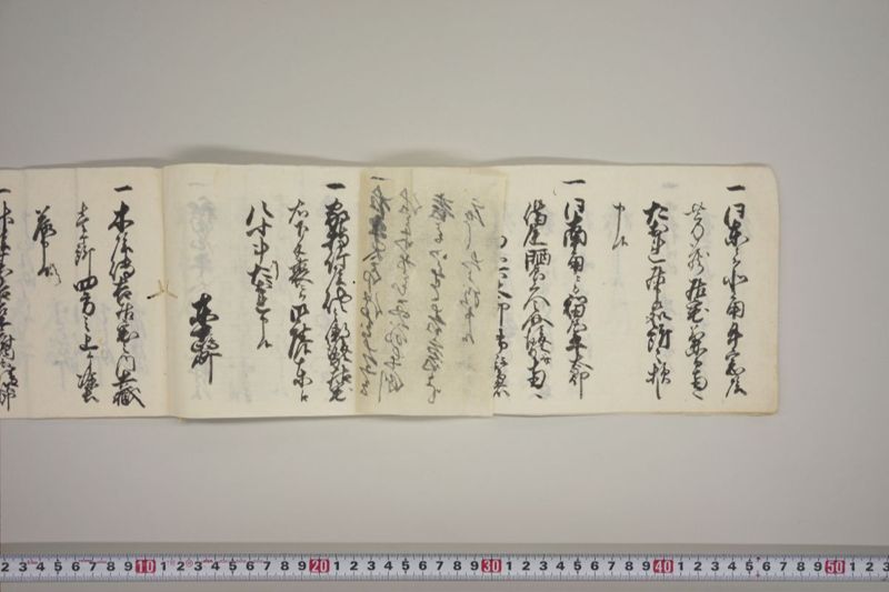 地震二而潰家怪我人其外所々損シ所書上　国富源次郎触口　天野持吉触口請状共 - ページ 10