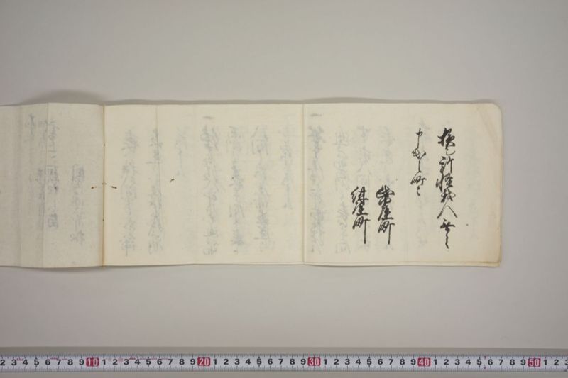 地震二而潰家怪我人其外所々損シ所書上　国富源次郎触口　天野持吉触口請状共 - ページ 20