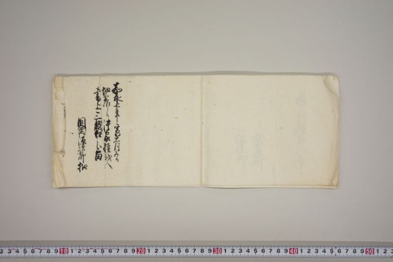 地震二而潰家怪我人其外所々損シ所書上　国富源次郎触口　天野持吉触口請状共 - ページ 22