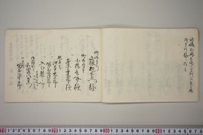 劇烈之病気流行ニ付町中安全之御祈禱并右病死人数之内格別困窮之者三十人へ社倉米之内壱俵ツゝ被遣候連名書 - ページ 12