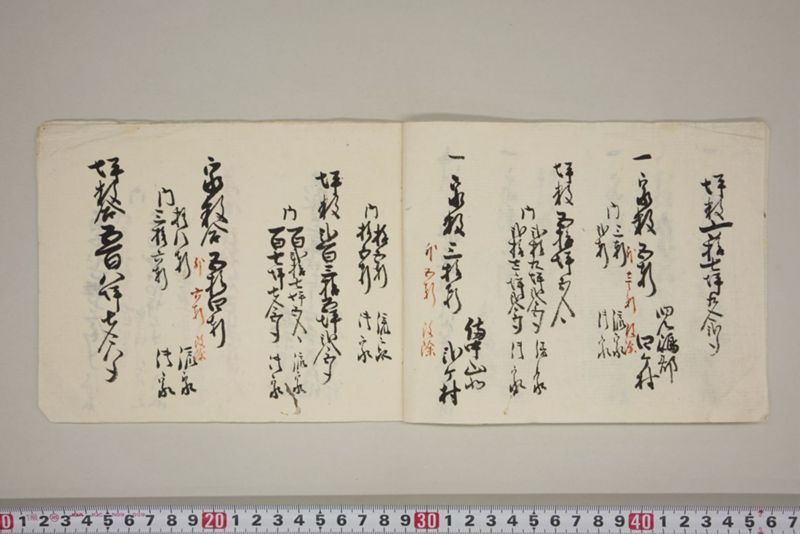 嘉永三年戌十一月　御郡々流家潰家改寄目録 - ページ 3