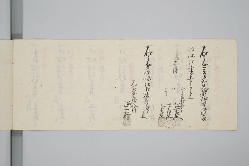 嘉永七年寅十一月　地震潰家書上帳　上道郡金岡村 - ページ 5