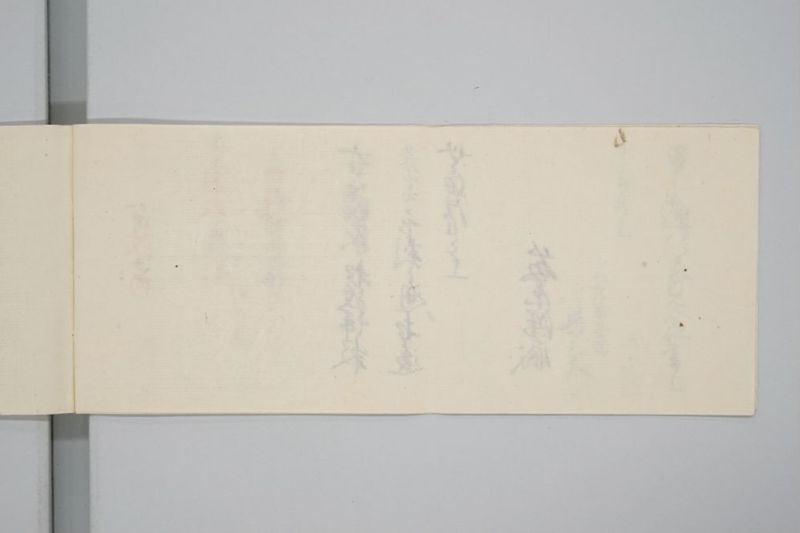 嘉永七年寅十一月　大地震潰家書上帳　上道郡沖新田五番 - ページ 9