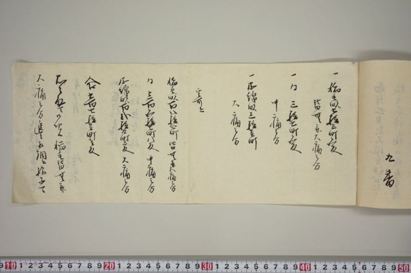 大風につき稲毛木綿畝痛 - ページ 6