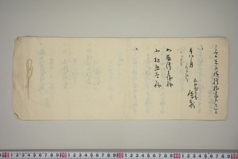 大風につき稲毛木綿畝痛 - ページ 7