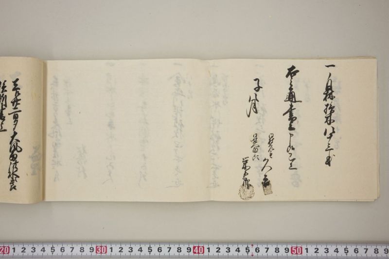 去ル廿二日大風雨洪水ニ付百間川堤切損水押破損其外品々模様書上帳　嘉永五年八月 - ページ 51