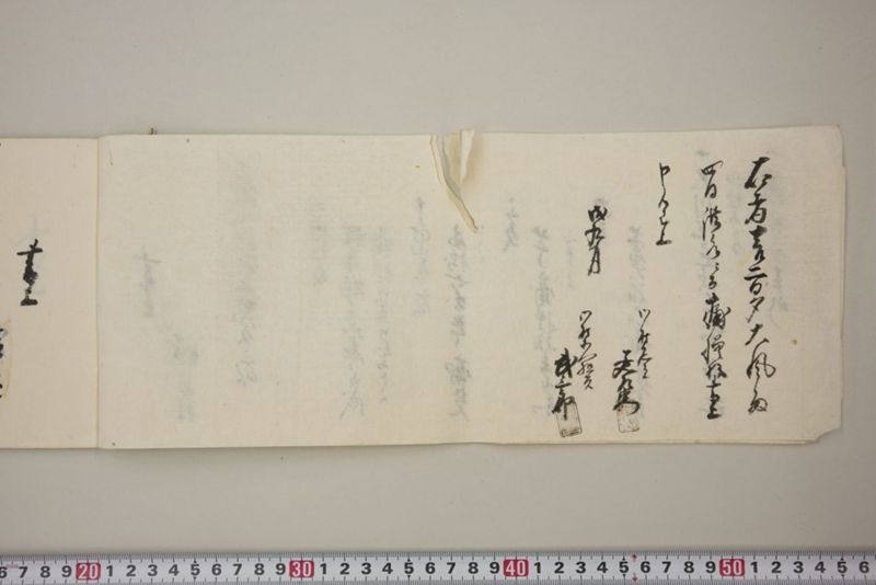 去ル二日夕大風雨ニ付稲毛其外諸作物痛模様并損所共書上帳　嘉永三年九月 - ページ 5