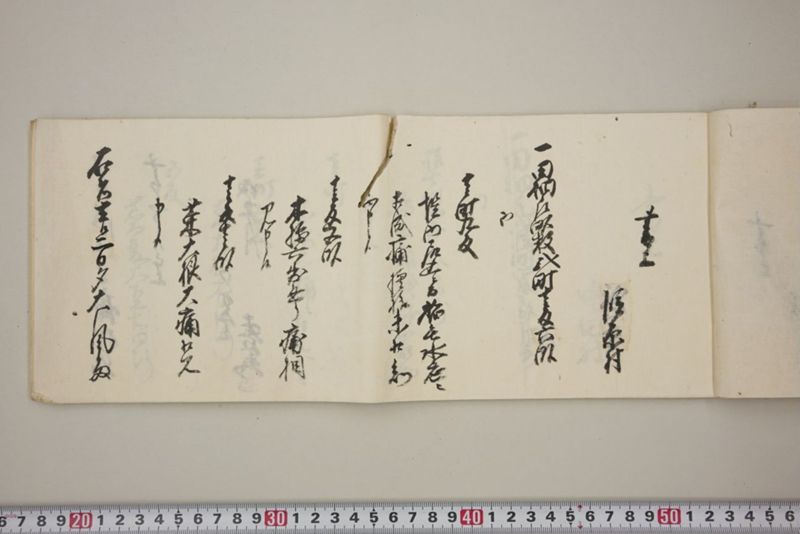去ル二日夕大風雨ニ付稲毛其外諸作物痛模様并損所共書上帳　嘉永三年九月 - ページ 6