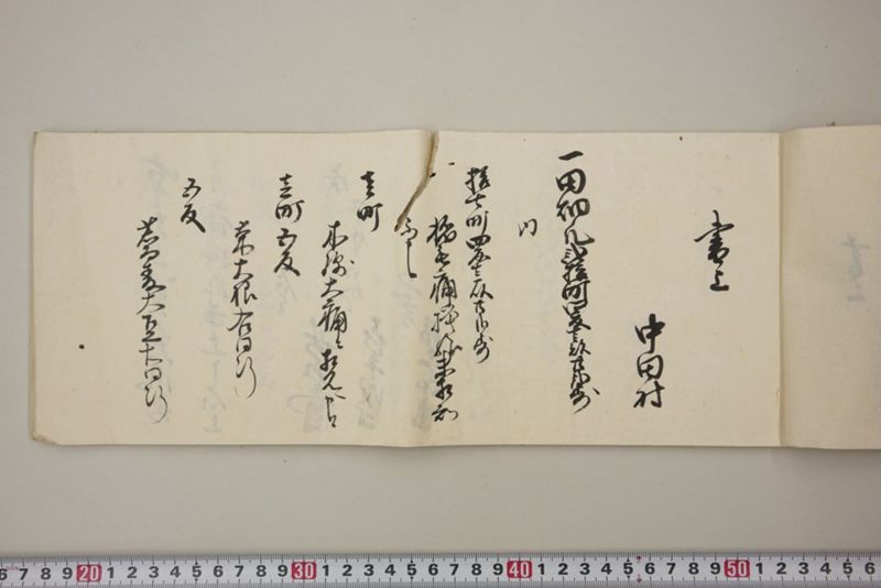 去ル二日夕大風雨ニ付稲毛其外諸作物痛模様并損所共書上帳　嘉永三年九月 - ページ 8
