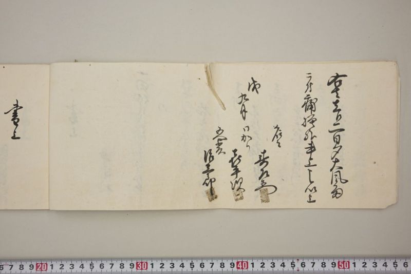 去ル二日夕大風雨ニ付稲毛其外諸作物痛模様并損所共書上帳　嘉永三年九月 - ページ 9