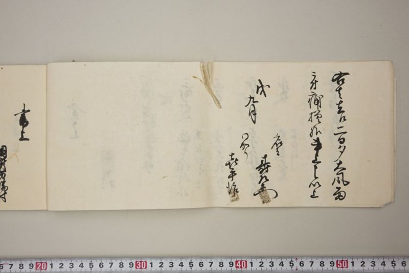 去ル二日夕大風雨ニ付稲毛其外諸作物痛模様并損所共書上帳　嘉永三年九月 - ページ 11