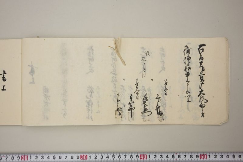 去ル二日夕大風雨ニ付稲毛其外諸作物痛模様并損所共書上帳　嘉永三年九月 - ページ 13