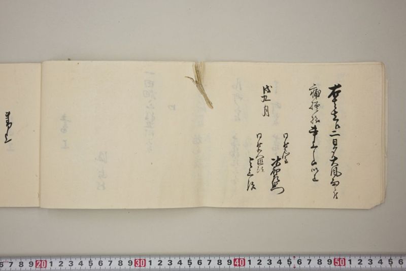 去ル二日夕大風雨ニ付稲毛其外諸作物痛模様并損所共書上帳　嘉永三年九月 - ページ 15