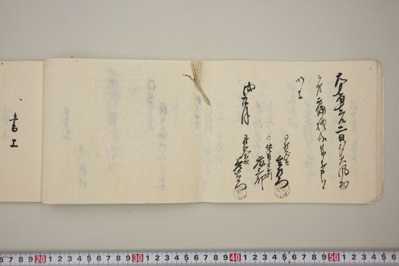 去ル二日夕大風雨ニ付稲毛其外諸作物痛模様并損所共書上帳　嘉永三年九月 - ページ 17