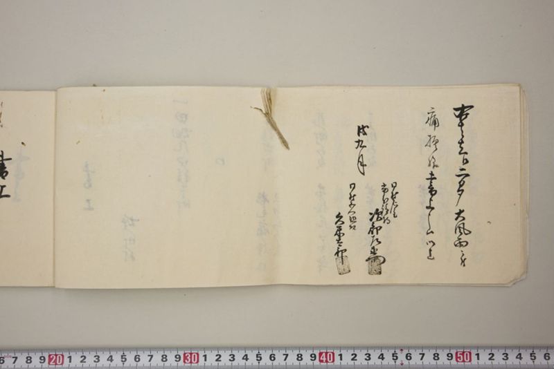 去ル二日夕大風雨ニ付稲毛其外諸作物痛模様并損所共書上帳　嘉永三年九月 - ページ 19