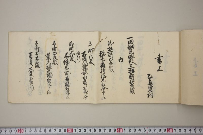 去ル二日夕大風雨ニ付稲毛其外諸作物痛模様并損所共書上帳　嘉永三年九月 - ページ 20