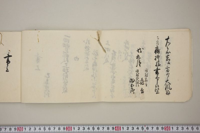 去ル二日夕大風雨ニ付稲毛其外諸作物痛模様并損所共書上帳　嘉永三年九月 - ページ 21