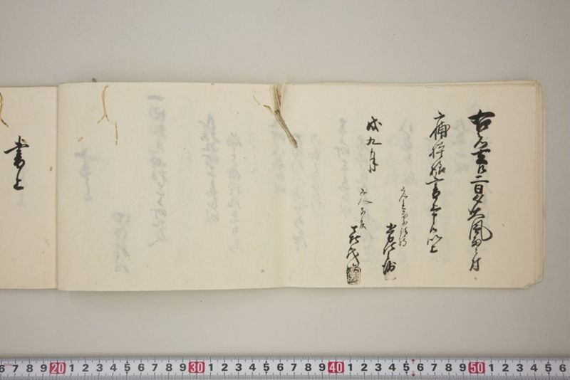去ル二日夕大風雨ニ付稲毛其外諸作物痛模様并損所共書上帳　嘉永三年九月 - ページ 23