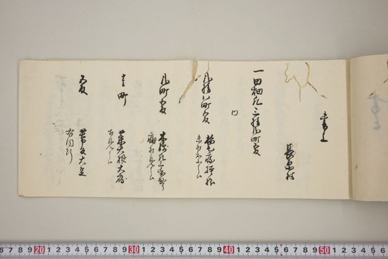 去ル二日夕大風雨ニ付稲毛其外諸作物痛模様并損所共書上帳　嘉永三年九月 - ページ 26
