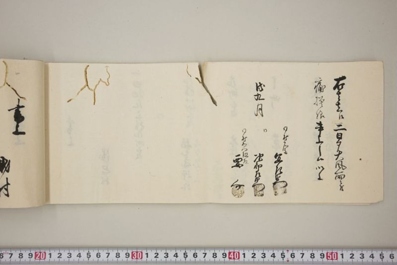 去ル二日夕大風雨ニ付稲毛其外諸作物痛模様并損所共書上帳　嘉永三年九月 - ページ 27