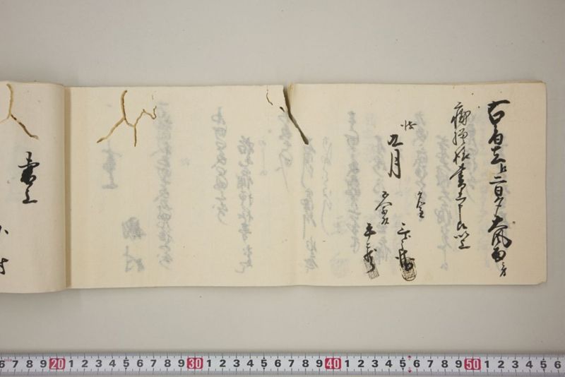 去ル二日夕大風雨ニ付稲毛其外諸作物痛模様并損所共書上帳　嘉永三年九月 - ページ 29