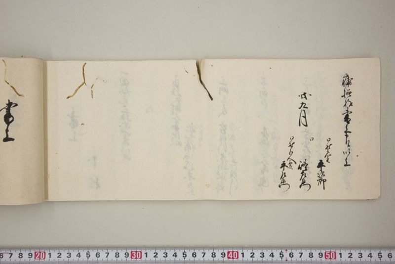 去ル二日夕大風雨ニ付稲毛其外諸作物痛模様并損所共書上帳　嘉永三年九月 - ページ 31