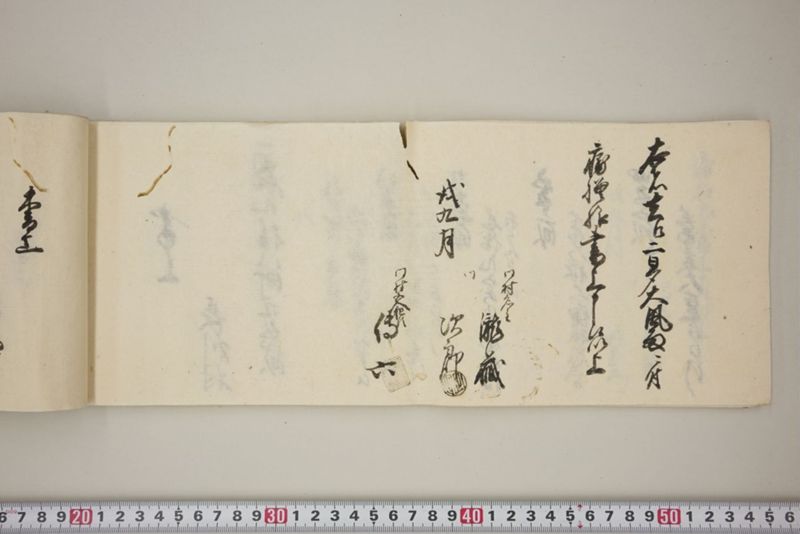 去ル二日夕大風雨ニ付稲毛其外諸作物痛模様并損所共書上帳　嘉永三年九月 - ページ 33