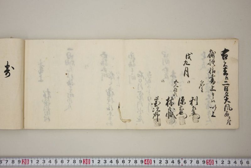 去ル二日夕大風雨ニ付稲毛其外諸作物痛模様并損所共書上帳　嘉永三年九月 - ページ 41