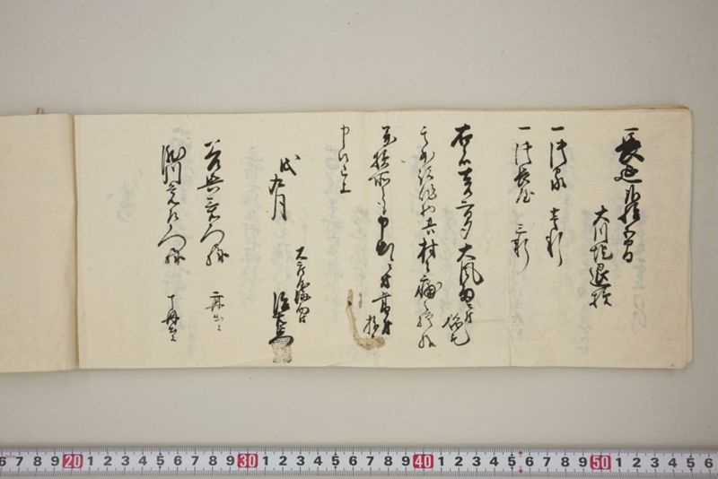 去ル二日夕大風雨ニ付稲毛其外諸作物痛模様并損所共書上帳　嘉永三年九月 - ページ 43