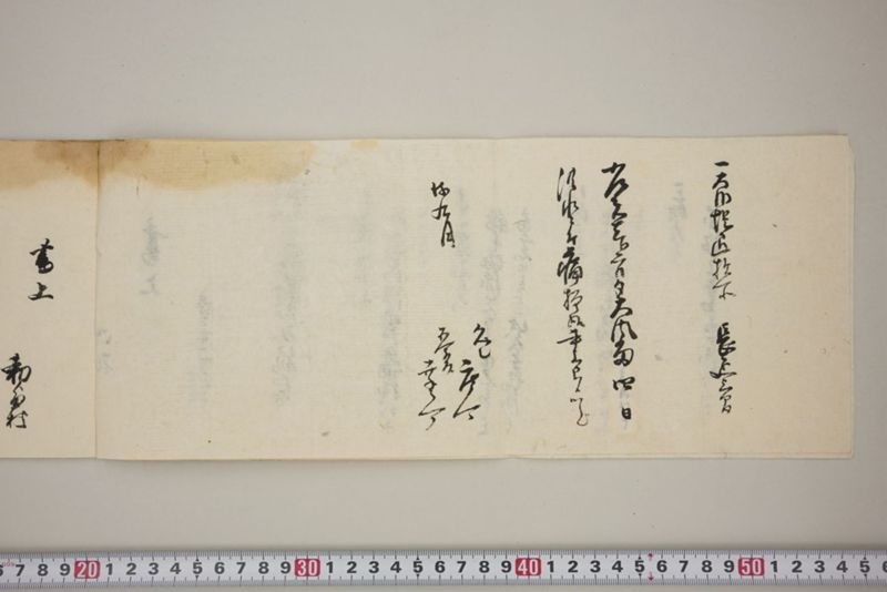 百間川内洪水ニ付稲毛并諸作物痛模様其外損所共書上帳　嘉永三年九月 - ページ 5
