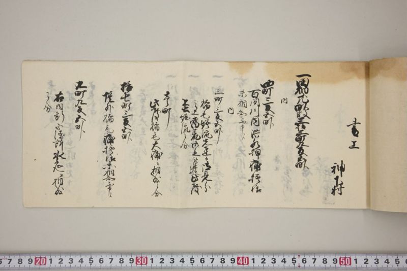 百間川内洪水ニ付稲毛并諸作物痛模様其外損所共書上帳　嘉永三年九月 - ページ 10