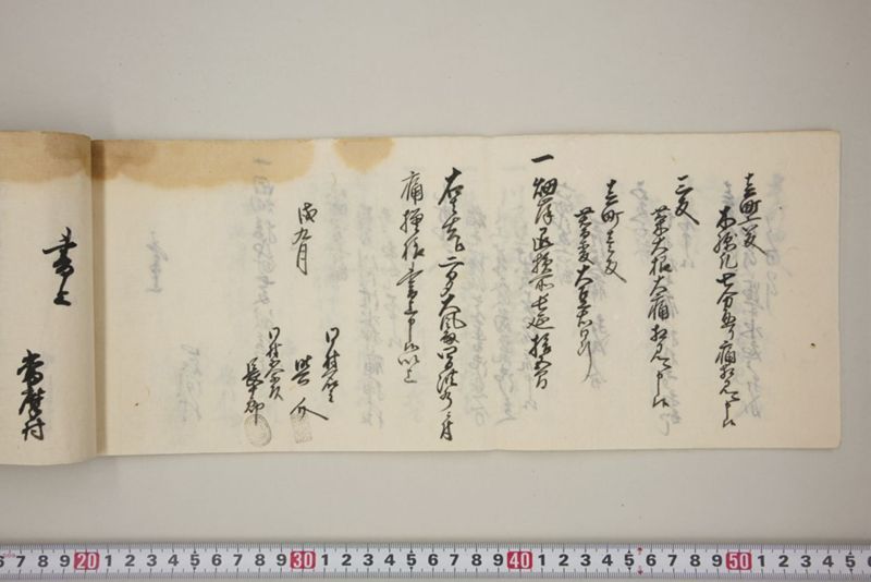 百間川内洪水ニ付稲毛并諸作物痛模様其外損所共書上帳　嘉永三年九月 - ページ 13