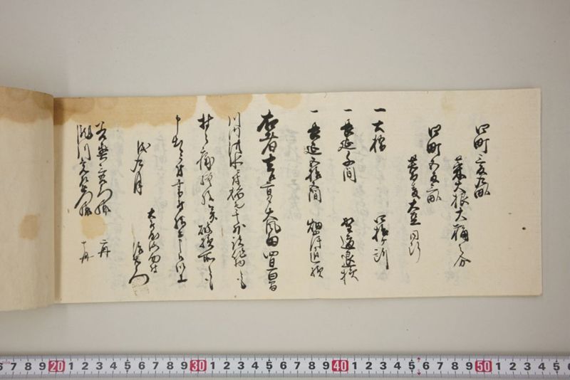 百間川内洪水ニ付稲毛并諸作物痛模様其外損所共書上帳　嘉永三年九月 - ページ 21