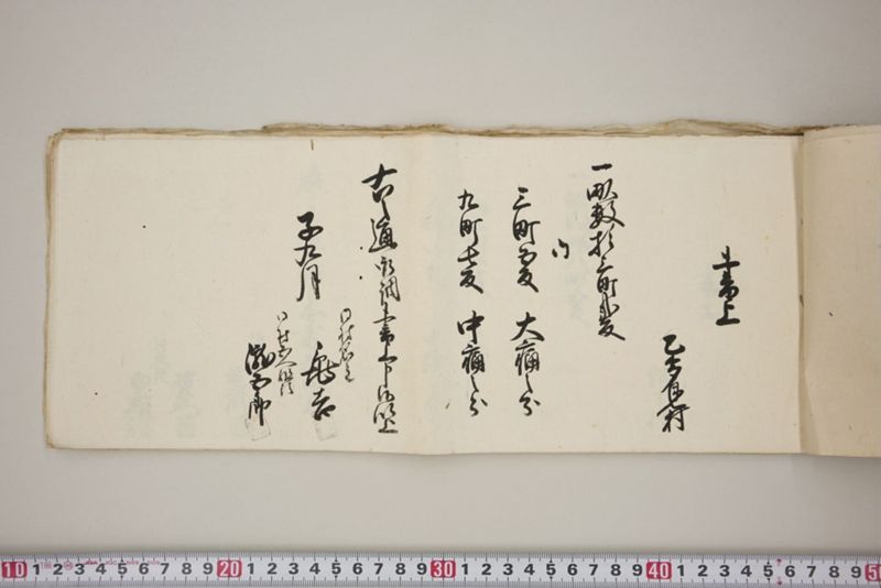 洪水押村々稲毛大痛中痛之分取分書上帳　嘉永五年九月 - ページ 8