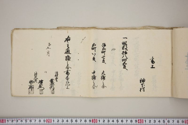 洪水押村々稲毛大痛中痛之分取分書上帳　嘉永五年九月 - ページ 10