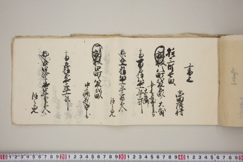 洪水押村々稲毛大痛中痛之分取分書上帳　嘉永五年九月 - ページ 14