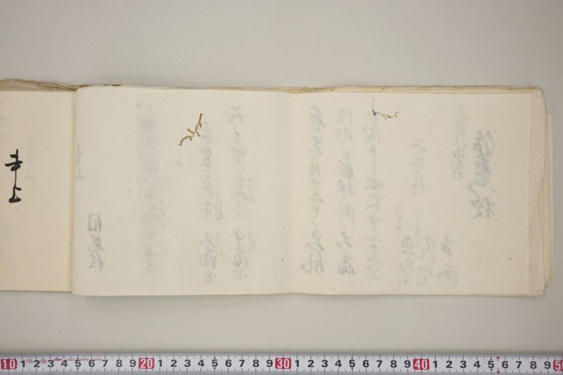 洪水押村々稲毛大痛中痛之分取分書上帳　嘉永五年九月 - ページ 21
